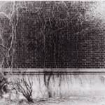 photo1